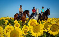 Spain-Southern Spain-Train and Trail - in Southern Spain